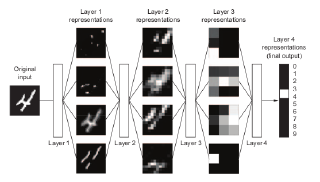 Getting started with deep learning in R