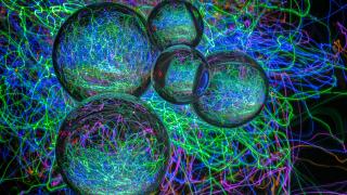 Newly certified instructors in October 2020