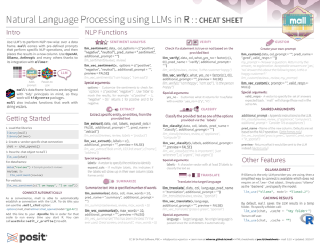 Natural Language Processing using LLMs in R & Python