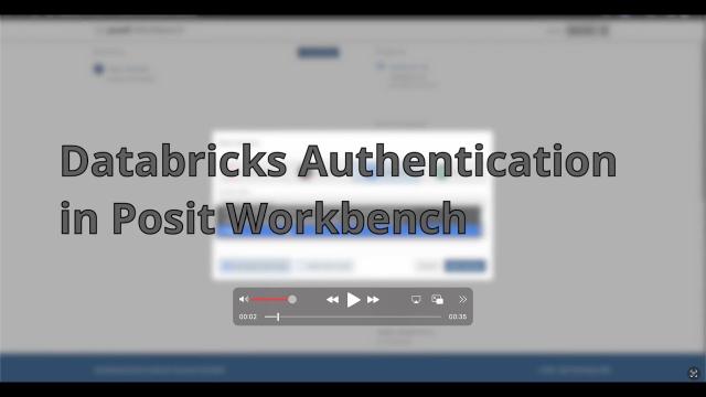 Databricks Authentication in Posit Workbench