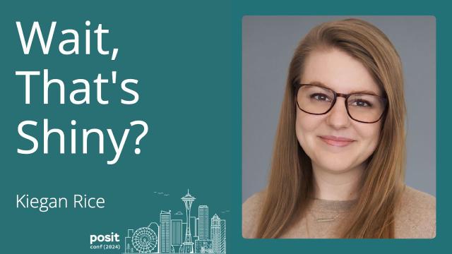 Wait, that’s Shiny? Building feature-full, user-friendly interactive data explorers - Posit Conf